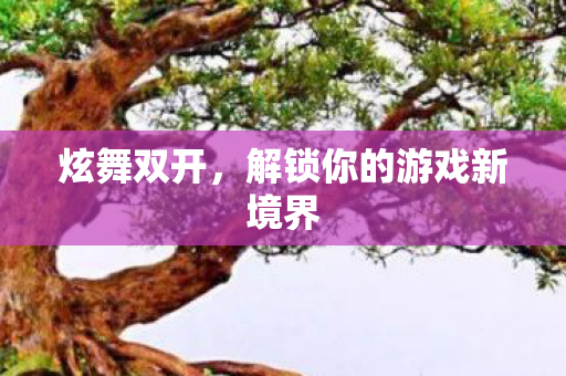 炫舞双开,解锁你的游戏新境界 炫舞双开,解锁你的游戏新境界