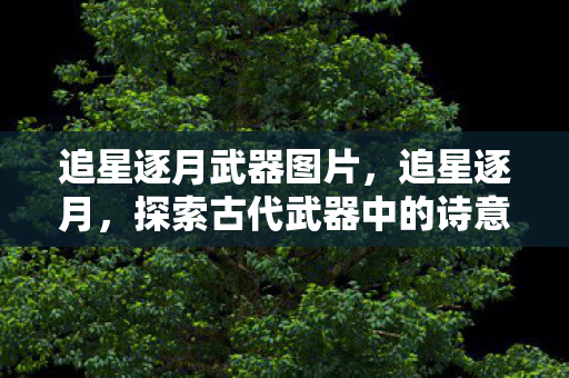 追星逐月武器图片,追星逐月,探索古代武器中的诗意与力量 追星逐月武器图片,追星逐月,探索古代武器中的诗意与力量