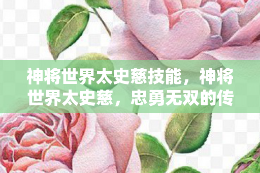 神将世界太史慈技能,神将世界太史慈,忠勇无双的传奇武将 神将世界太史慈技能,神将世界太史慈,忠勇无双的传奇武将