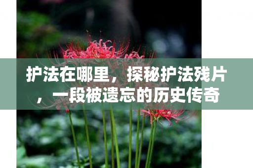 护法在哪里，探秘护法残片，一段被遗忘的历史传奇