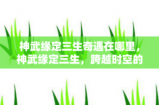 神武缘定三生奇遇在哪里，神武缘定三生，跨越时空的浪漫传奇