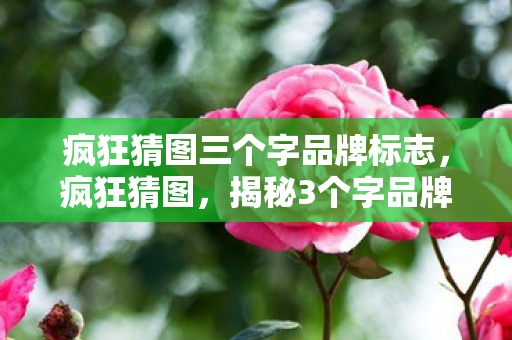 疯狂猜图三个字品牌标志,疯狂猜图,揭秘3个字品牌背后的故事 疯狂猜图三个字品牌标志,疯狂猜图,揭秘3个字品牌背后的故事
