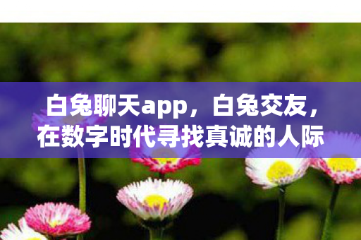 白兔聊天app,白兔交友,在数字时代寻找真诚的人际交往 白兔聊天app,白兔交友,在数字时代寻找真诚的人际交往