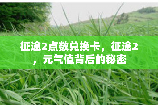 征途2点数兑换卡,征途2,元气值背后的秘密 征途2点数兑换卡,征途2,元气值背后的秘密