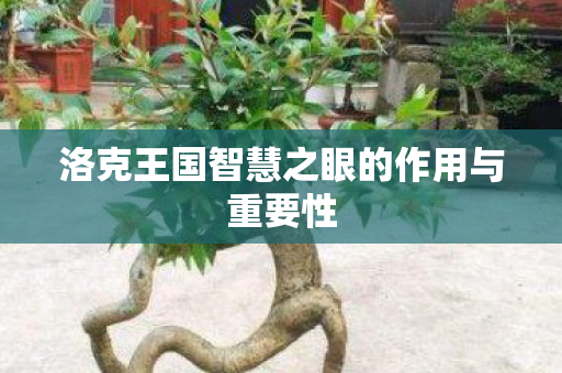 洛克王国智慧之眼的作用与重要性 洛克王国智慧之眼的作用与重要性
