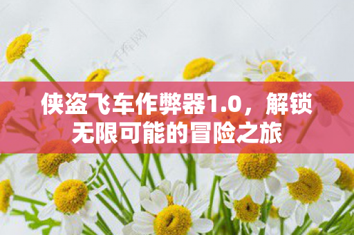 侠盗飞车作弊器1.0,解锁无限可能的冒险之旅 侠盗飞车作弊器1.0,解锁无限可能的冒险之旅