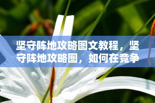 坚守阵地攻略图文教程,坚守阵地攻略图,如何在竞争激烈的市场中稳固并扩大你的影响力 坚守阵地攻略图文教程,坚守阵地攻略图,如何在竞争激烈的市场中稳固并扩大你的影响力