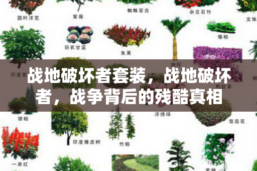 战地破坏者套装,战地破坏者,战争背后的残酷真相 战地破坏者套装,战地破坏者,战争背后的残酷真相