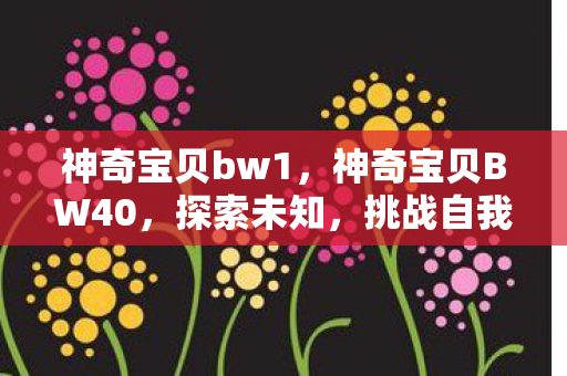 神奇宝贝bw1，神奇宝贝BW40，探索未知，挑战自我