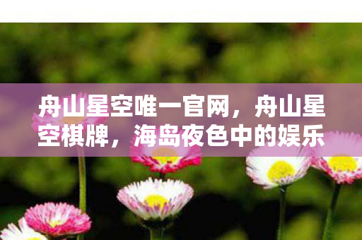 舟山星空唯一官网,舟山星空棋牌,海岛夜色中的娱乐新选择 舟山星空唯一官网,舟山星空棋牌,海岛夜色中的娱乐新选择