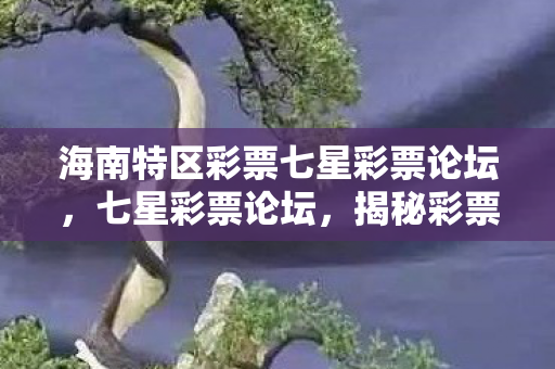 海南特区彩票七星彩票论坛,七星彩票论坛,揭秘彩票背后的秘密 海南特区彩票七星彩票论坛,七星彩票论坛,揭秘彩票背后的秘密