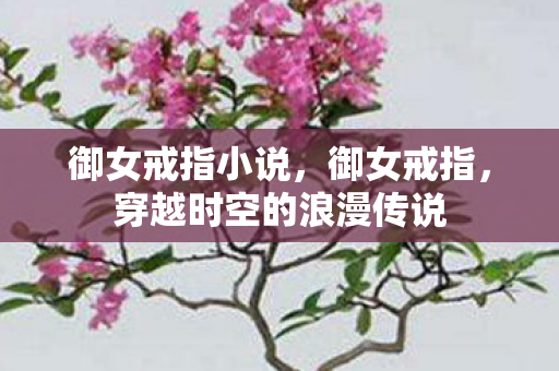 御女戒指小说，御女戒指，穿越时空的浪漫传说