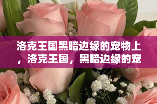 洛克王国黑暗边缘的宠物上,洛克王国,黑暗边缘的宠物 洛克王国黑暗边缘的宠物上,洛克王国,黑暗边缘的宠物