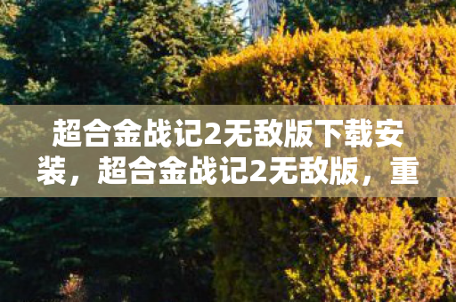 超合金战记2无敌版下载安装,超合金战记2无敌版,重温经典,再战未来 超合金战记2无敌版下载安装,超合金战记2无敌版,重温经典,再战未来