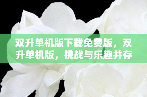 双升单机版下载免费版,双升单机版,挑战与乐趣并存的经典卡牌游戏 双升单机版下载免费版,双升单机版,挑战与乐趣并存的经典卡牌游戏