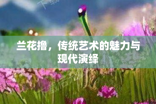兰花撸,传统艺术的魅力与现代演绎 兰花撸,传统艺术的魅力与现代演绎