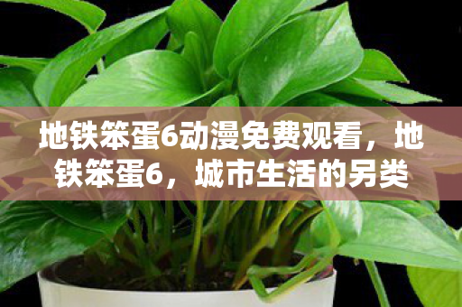 地铁笨蛋6动漫免费观看,地铁笨蛋6,城市生活的另类风景线 地铁笨蛋6动漫免费观看,地铁笨蛋6,城市生活的另类风景线