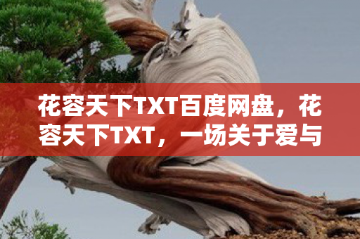 花容天下TXT百度网盘，花容天下TXT，一场关于爱与背叛的江湖传奇