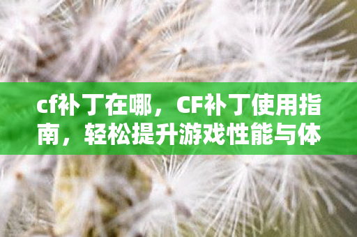 cf补丁在哪,CF补丁使用指南,轻松提升游戏性能与体验 cf补丁在哪,CF补丁使用指南,轻松提升游戏性能与体验