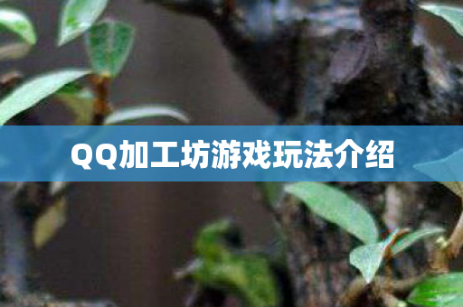QQ加工坊游戏玩法介绍 QQ加工坊游戏玩法介绍