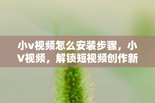 小v视频怎么安装步骤,小V视频,解锁短视频创作新纪元 小v视频怎么安装步骤,小V视频,解锁短视频创作新纪元