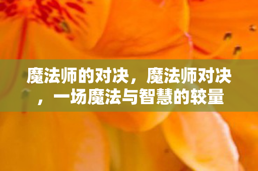 魔法师的对决,魔法师对决,一场魔法与智慧的较量 魔法师的对决,魔法师对决,一场魔法与智慧的较量