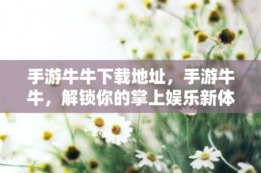 手游牛牛下载地址，手游牛牛，解锁你的掌上娱乐新体验