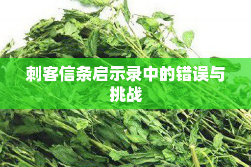 刺客信条启示录中的错误与挑战 刺客信条启示录中的错误与挑战