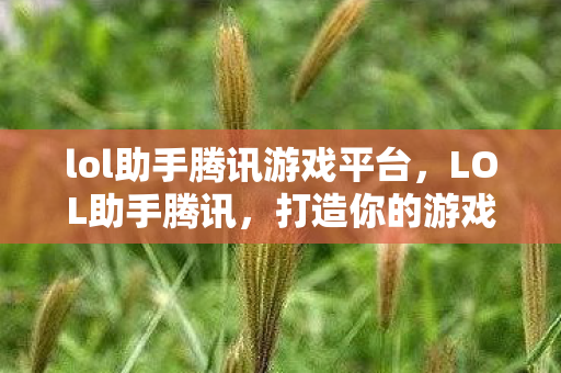 lol助手腾讯游戏平台,LOL助手腾讯,打造你的游戏新体验 lol助手腾讯游戏平台,LOL助手腾讯,打造你的游戏新体验