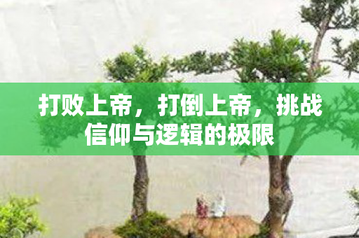 打败上帝,打倒上帝,挑战信仰与逻辑的极限 打败上帝,打倒上帝,挑战信仰与逻辑的极限