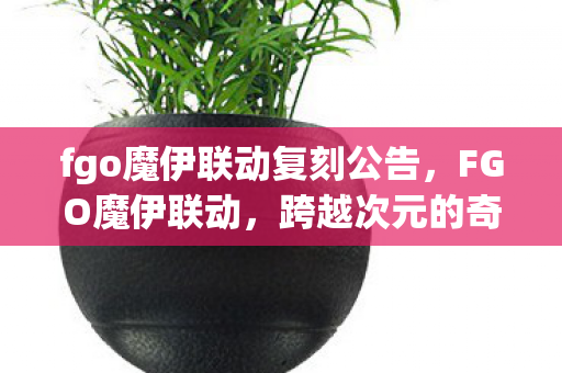 fgo魔伊联动复刻公告，FGO魔伊联动，跨越次元的奇幻之旅