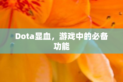 Dota显血,游戏中的必备功能 Dota显血,游戏中的必备功能
