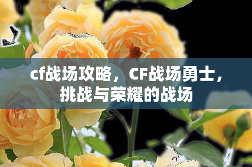 cf战场攻略，CF战场勇士，挑战与荣耀的战场