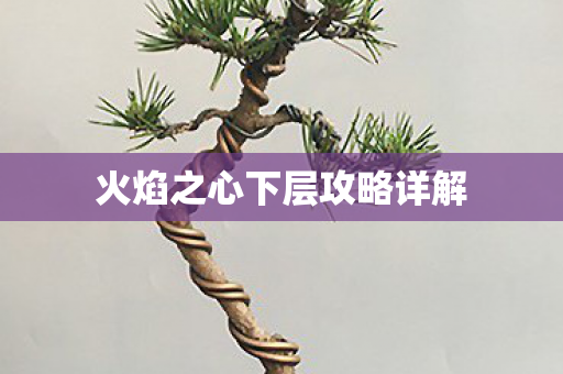火焰之心下层攻略详解