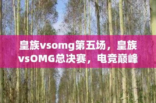 皇族vsomg第五场,皇族vsOMG总决赛,电竞巅峰之战的激情碰撞 皇族vsomg第五场,皇族vsOMG总决赛,电竞巅峰之战的激情碰撞