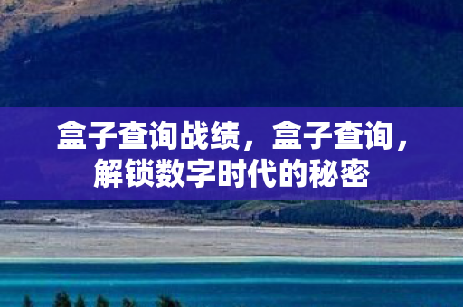 盒子查询战绩,盒子查询,解锁数字时代的秘密 盒子查询战绩,盒子查询,解锁数字时代的秘密
