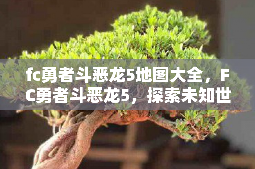 fc勇者斗恶龙5地图大全,FC勇者斗恶龙5,探索未知世界的地图指南 fc勇者斗恶龙5地图大全,FC勇者斗恶龙5,探索未知世界的地图指南