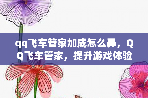 qq飞车管家加成怎么弄,QQ飞车管家,提升游戏体验的必备神器 qq飞车管家加成怎么弄,QQ飞车管家,提升游戏体验的必备神器
