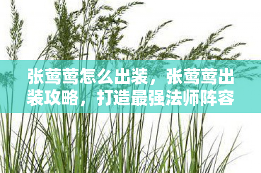 张莺莺怎么出装,张莺莺出装攻略,打造最强法师阵容 张莺莺怎么出装,张莺莺出装攻略,打造最强法师阵容