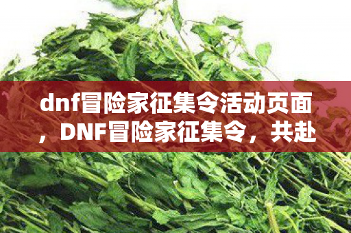 dnf冒险家征集令活动页面,DNF冒险家征集令,共赴异界之旅,探索未知领域 dnf冒险家征集令活动页面,DNF冒险家征集令,共赴异界之旅,探索未知领域