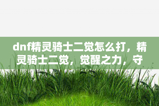 dnf精灵骑士二觉怎么打，精灵骑士二觉，觉醒之力，守护之心的觉醒