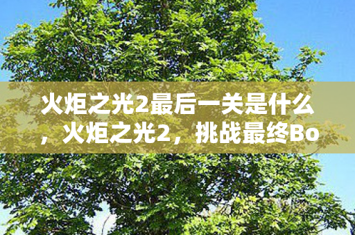 火炬之光2最后一关是什么，火炬之光2，挑战最终Boss的终极攻略