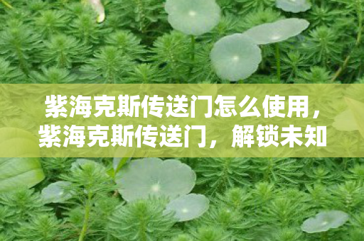 紫海克斯传送门怎么使用,紫海克斯传送门,解锁未知世界的神秘通道 紫海克斯传送门怎么使用,紫海克斯传送门,解锁未知世界的神秘通道