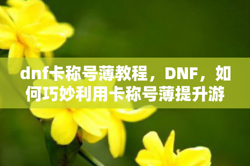 dnf卡称号薄教程,DNF,如何巧妙利用卡称号薄提升游戏体验 dnf卡称号薄教程,DNF,如何巧妙利用卡称号薄提升游戏体验