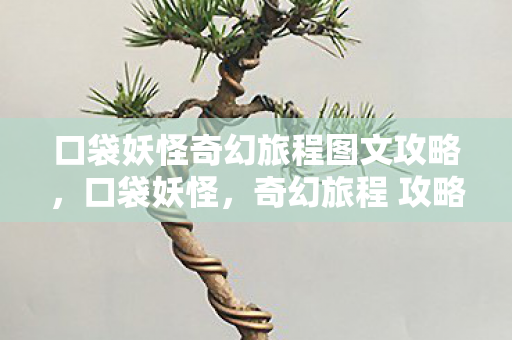 口袋妖怪奇幻旅程图文攻略,口袋妖怪,奇幻旅程 攻略 口袋妖怪奇幻旅程图文攻略,口袋妖怪,奇幻旅程 攻略