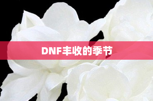 DNF丰收的季节