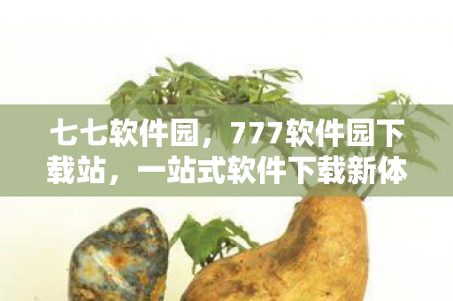 七七软件园,777软件园下载站,一站式软件下载新体验 七七软件园,777软件园下载站,一站式软件下载新体验