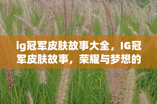 ig冠军皮肤故事大全,IG冠军皮肤故事,荣耀与梦想的交织 ig冠军皮肤故事大全,IG冠军皮肤故事,荣耀与梦想的交织