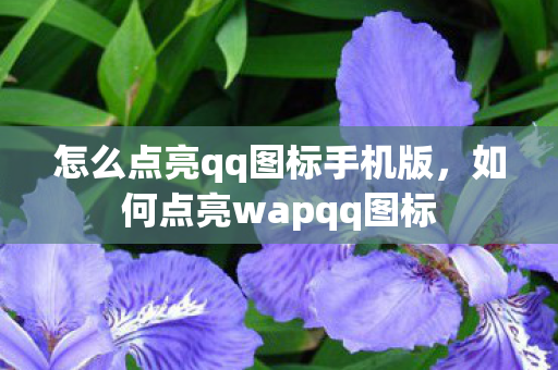 怎么点亮qq图标手机版,如何点亮wapqq图标 怎么点亮qq图标手机版,如何点亮wapqq图标