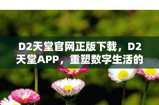 D2天堂官网正版下载,D2天堂APP,重塑数字生活的创新平台 D2天堂官网正版下载,D2天堂APP,重塑数字生活的创新平台